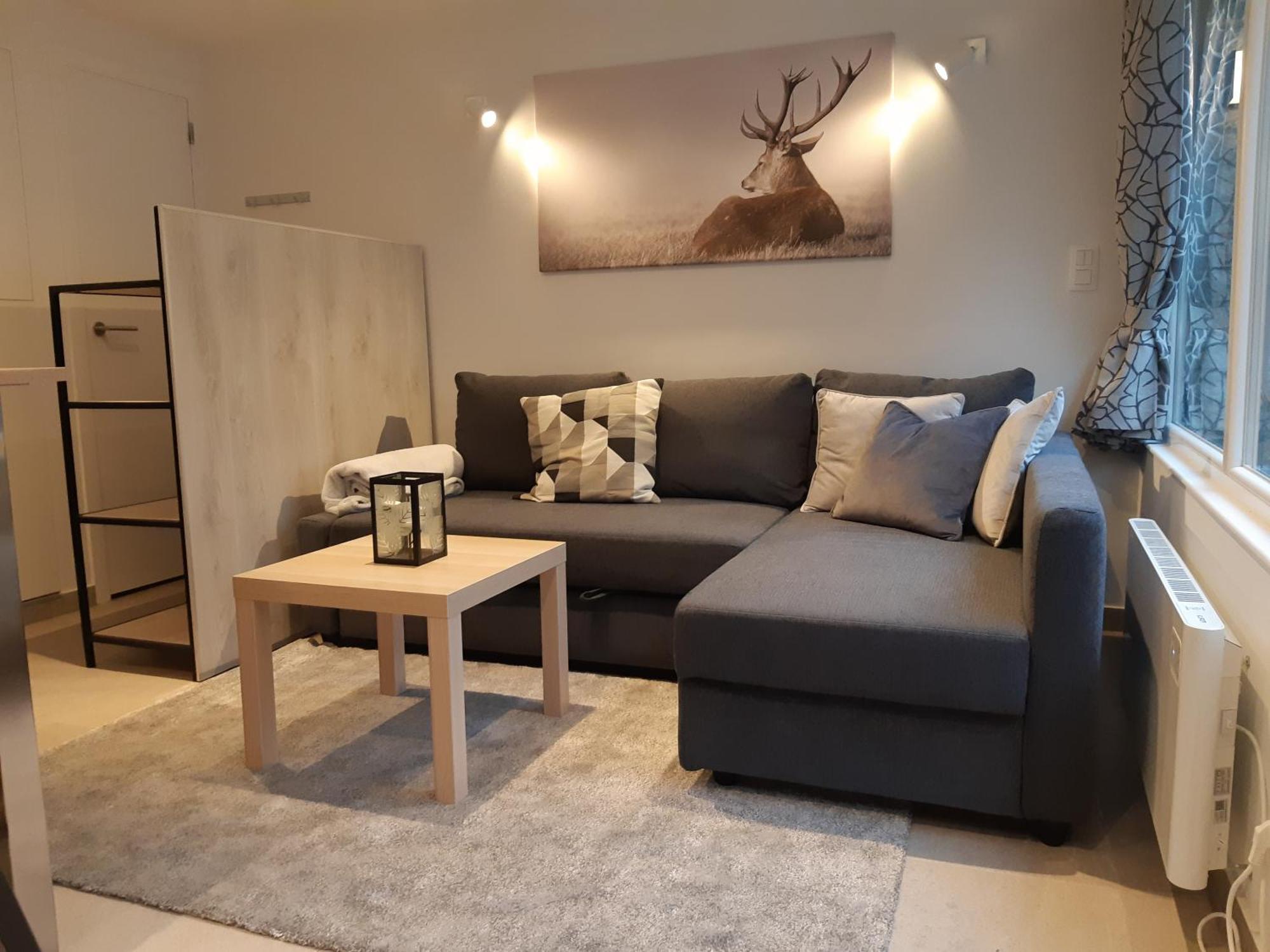 Terrasses De Malmedy F&L Triplex 214 Et Studio 320 Et 317 Et Studio Superieur 340 Cameră foto